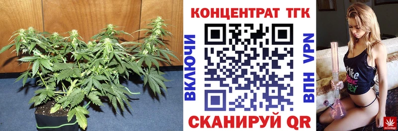как найти наркотики  hydra зеркало  Дистиллят ТГК гашишное масло  Миньяр 