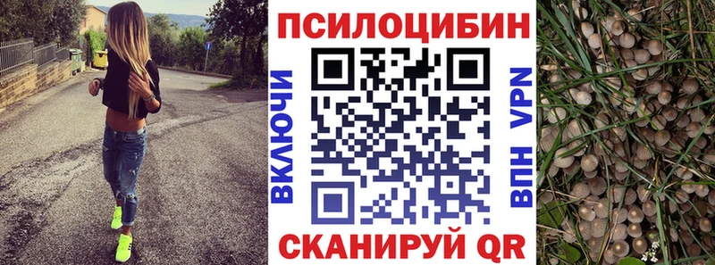 Псилоцибиновые грибы мицелий  закладка  kraken ССЫЛКА  Миньяр 